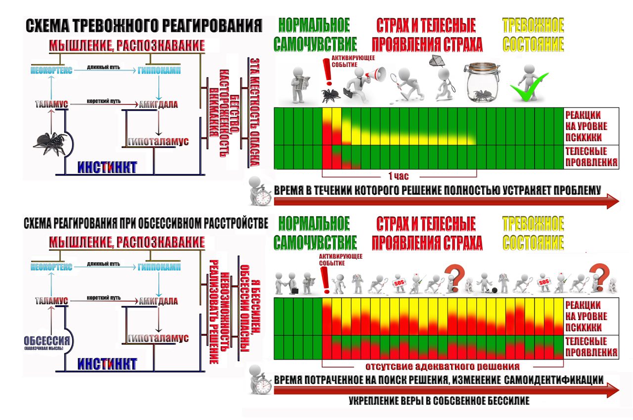 shema-trevozhnogo-reagirovaniya-6